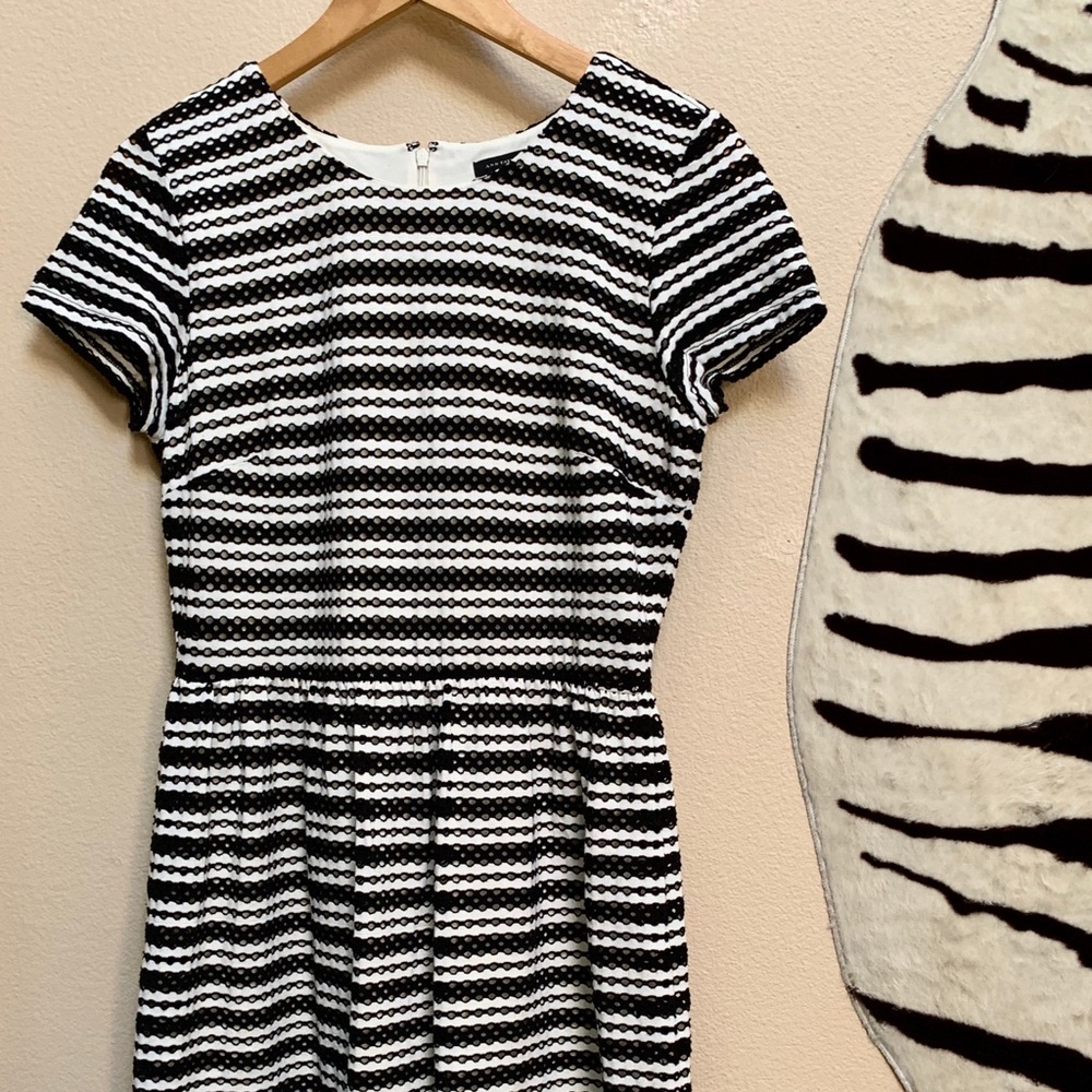 ANN TAYLOR SS  lined black and white dress